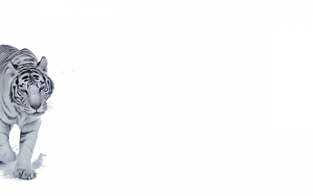 Background – Tiger