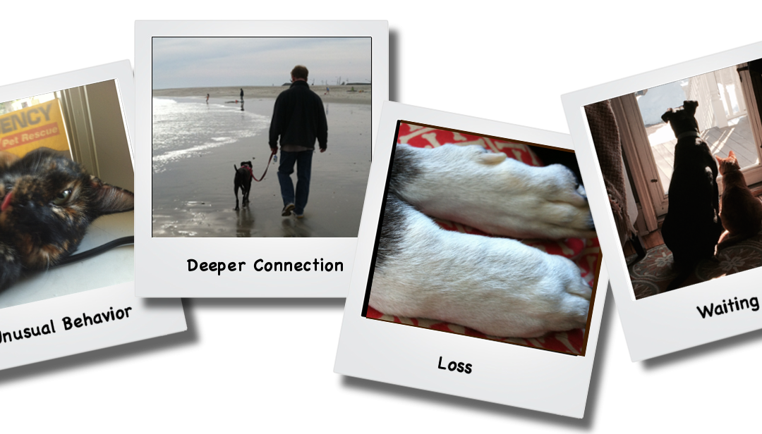 communication-collage