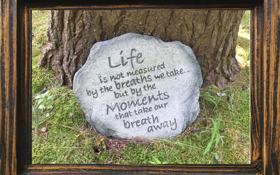 Life Is Not Measured